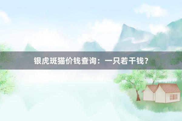 银虎斑猫价钱查询：一只若干钱？