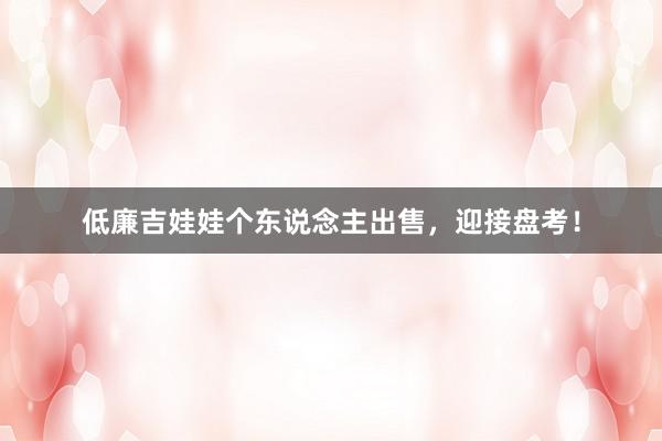 低廉吉娃娃个东说念主出售，迎接盘考！