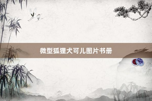 微型狐狸犬可儿图片书册