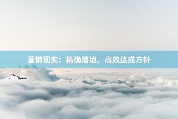 营销现实：精确落地，高效达成方针